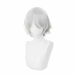 FGO Fate/Grand Order Lang Lin Wang 30cm Short Silver Grey Halloween Cosplay Wigs -COSPLAY CLANS Sales Store 1 4bb7f9cd 61a7 475e b653 73525d9a5aa5