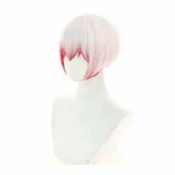 Anime Bungo Stray Dogs Saigiku Jono Cosplay Wigs 10 Anime Bungo Stray Dogs Saigiku Jono Cosplay Wigs -COSPLAY CLANS Sales Store 3 75464365 1324 4fca b692 35f7488433ff