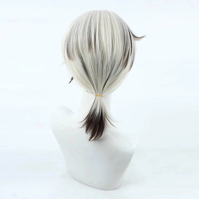 Game Honkai: Star Rail Arlan Ponytail Cosplay Wigs 8 Game Honkai: Star Rail Arlan Ponytail Cosplay Wigs - Image 6