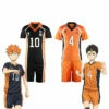 Anime Haikyuu Karasuno High School Volleyball Club Hinata Shoyo And All Teammates Uniform Cosplay Costume 1 Anime Haikyuu Karasuno High School Volleyball Club Hinata Shoyo And All Teammates Uniform Cosplay Costume -COSPLAY CLANS Sales Store HinataShoyoNishinoyaYuu