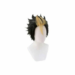 Anime Haikyuu Nishinoya Yuu Short Black Cosplay Wigs -COSPLAY CLANS Sales Store NishinoyaYuuWigs1q